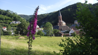 FRVOG_Bilder_Agentur_Village Le Bonhomme.JPG