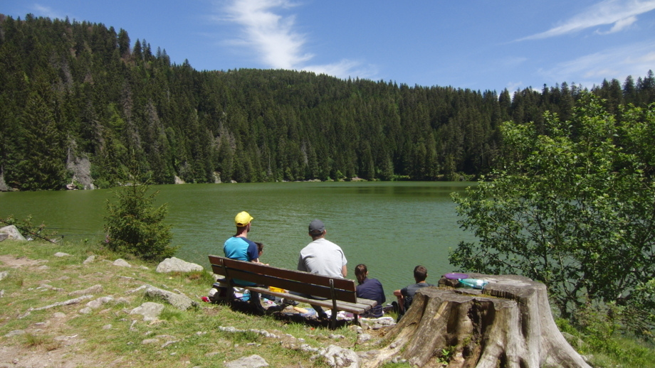 FRVOG_Bilder_Agentur_Lac vert..JPG