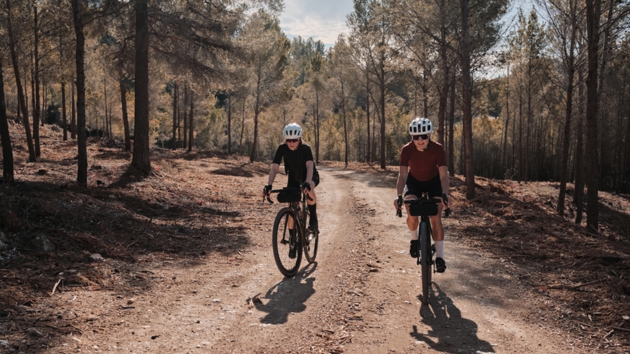 bike-shutterstock-gravelbike-natur-landschaft-wald-schotterstrasse-teilnehmer-gruppe-2421380561.jpg