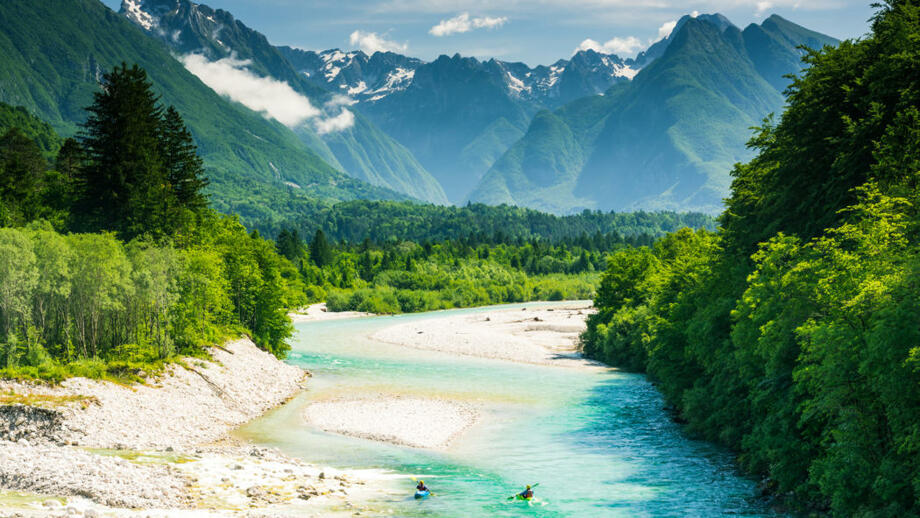 shutterstock_1109011343.jpg