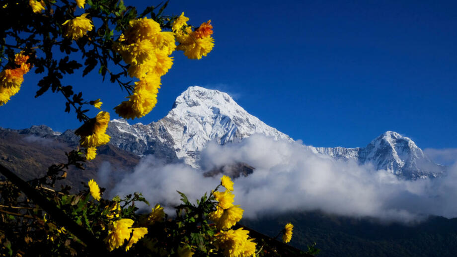Ausblick auf die Berge Nepals