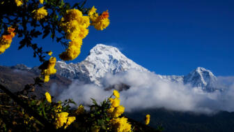 Ausblick auf die Berge Nepals