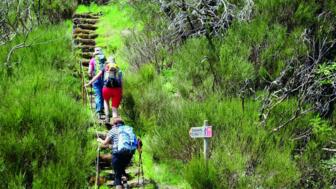 Aufstieg Über Trekkinfstufen in die Bergwelt Madeiras