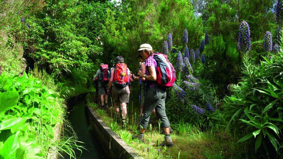 Auf der Insel Madeira nutzen Wanderer gerne Levadas als Weg
