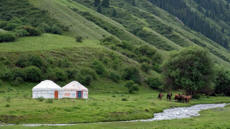 Zwei Nomadentelte, Pferde und Fluss in der grünen Landschaft des Tienshan