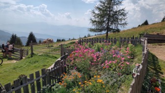 Ein Bauerngarten vor der Alm mit einer Blumenwiesen