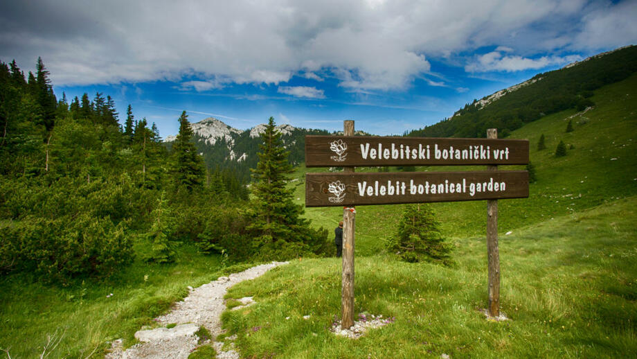 shutterstock_1126207079_Velebit_Hinweis.jpg