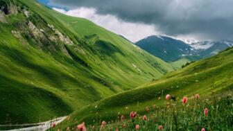 georgien-getwin-tal-von-shkhara-dem-hoechsten-berg-in-svaneti-shutterstock_2394575807.jpg