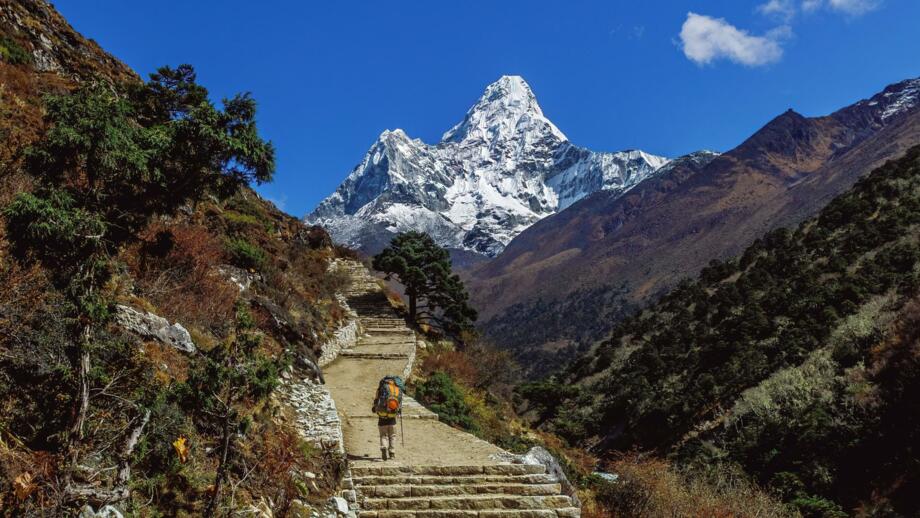 nepal-hikte-trek-von-tengboche-nach-pangboche-trekker-auf-everest-trail-mit-blick-auf-ama-dablam-shutterstock_2397462353.jpg
