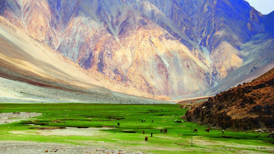 asien-nepal-mustang-hilhm-shutterstock-167431991.jpg
