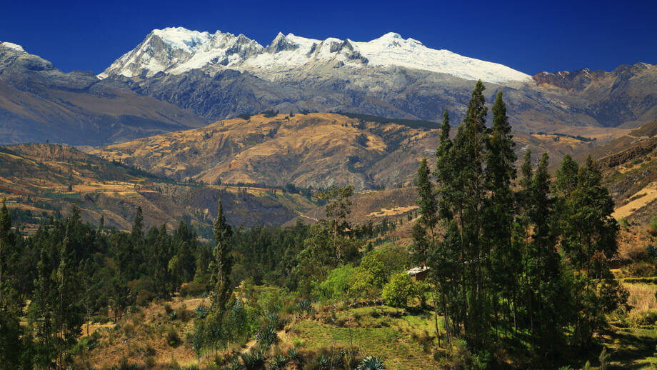 Sechstausender Chopicalqui vor Almgelände