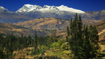 Sechstausender Chopicalqui vor Almgelände