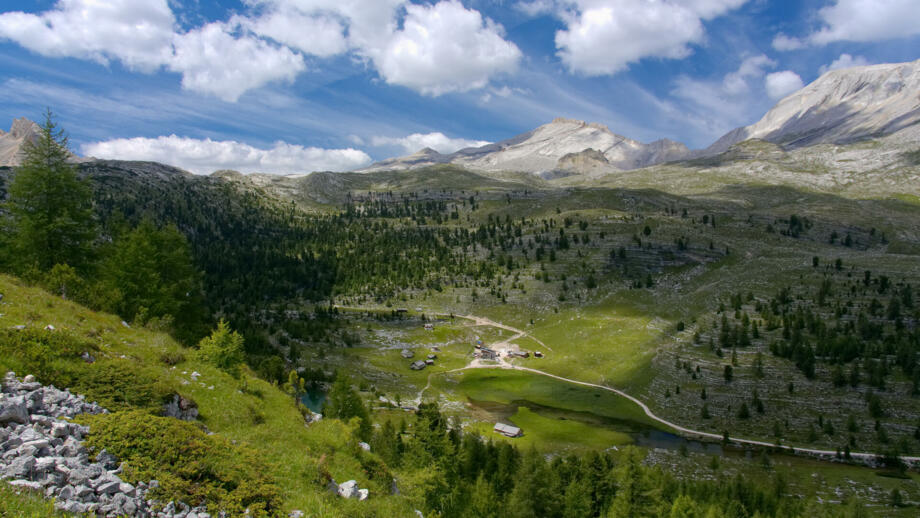 Das Panorama der Dolomiten im Hintergrund bei leichter Bewölkung und Sonnenschein. Grüne Almwiesen im Vordergrund.