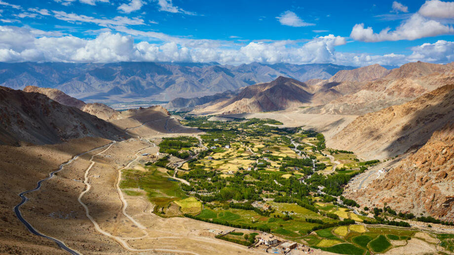 Grüne Oase Leh in Ladakh