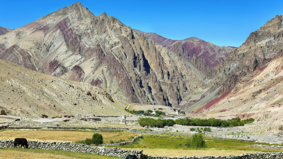 Karge Felslandschaft in Ladakh mir grüner Oase