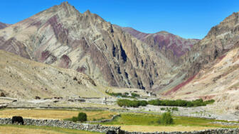 Karge Felslandschaft in Ladakh mir grüner Oase