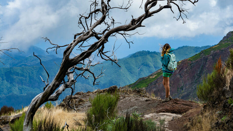 madeira-berglandschaft-pico-ruivo-pico-areeiro-shutterstock-503635555.jpg