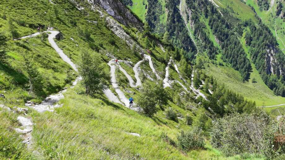 Ein Single Trail am Tuxer Hauptkamm