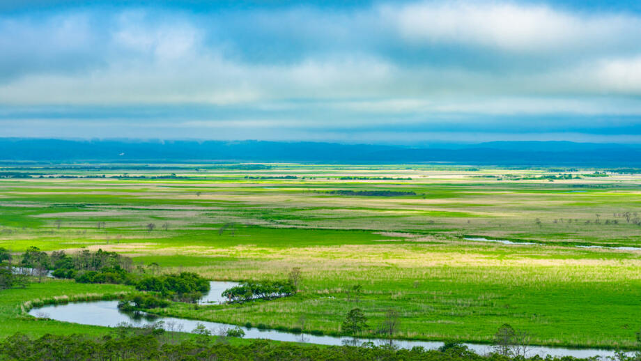 Fluss, grüne Wiesen und Meer im Kushiro-Shitsugen-Nationalpark auf der Insel Hokkaido