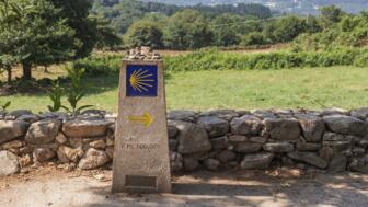 Jakobsweg-Schild mit Muscher in grüner Landschaft