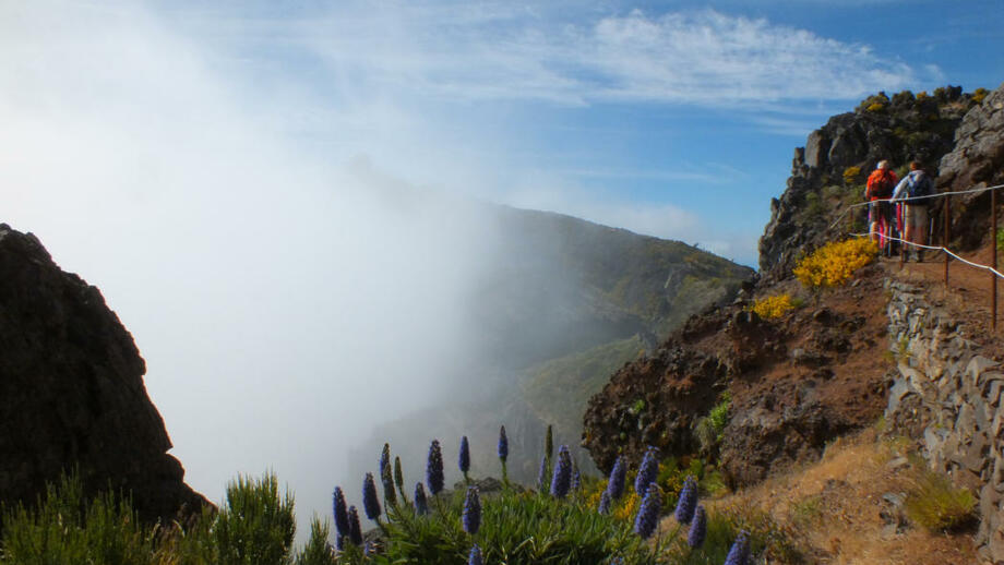 Portugal_Madeira_POTOPMA_Inselwandern_Pico-de-Arieiro (5).jpg