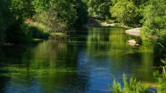 Natürliches Flussbecken in der Region Pesqueiras in O Rosal, reflektieren der Bäume  im Wasser