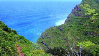 madeira-dav-r-12.jpg