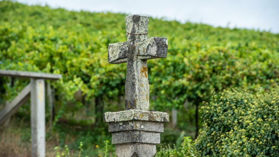 Steinkreuz in Galicien mit Weinreben im Hintergrund auf dem nach Santiago
