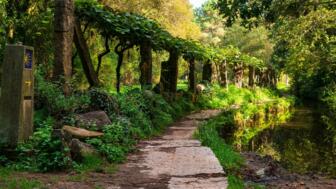 Steinweg durch den Wald und die Weinberge in Pontevedra