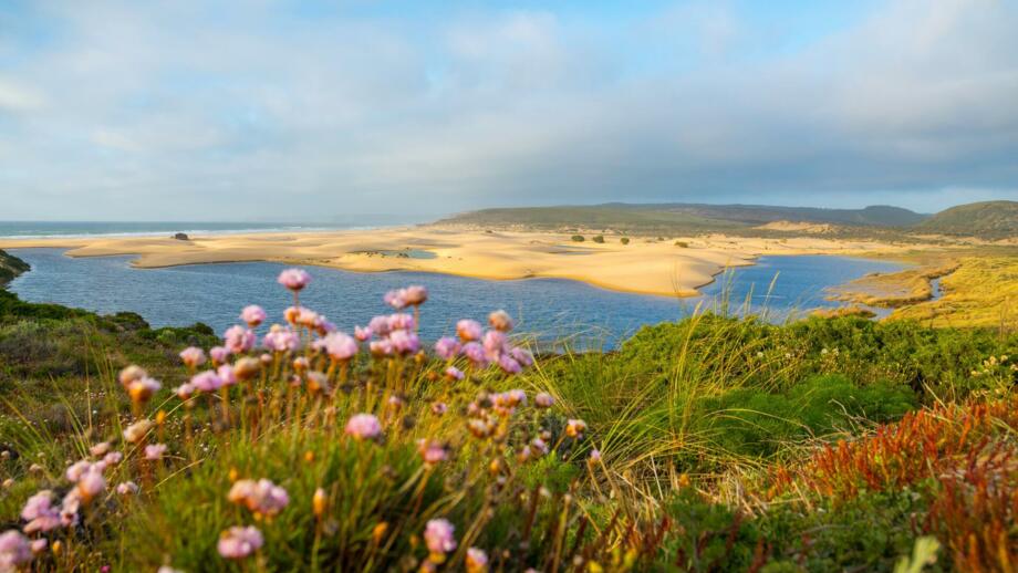 Strand von Bordeira mit Blumen an der Costa Vicentina