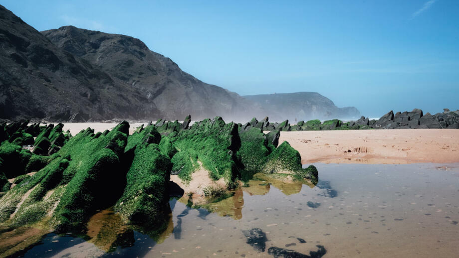 Praia de Costa Vicentina