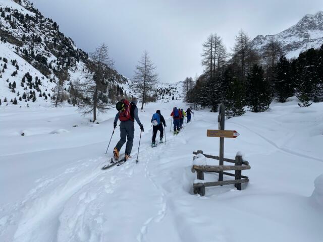 Tiefschneekurs in Sulden am Ortler