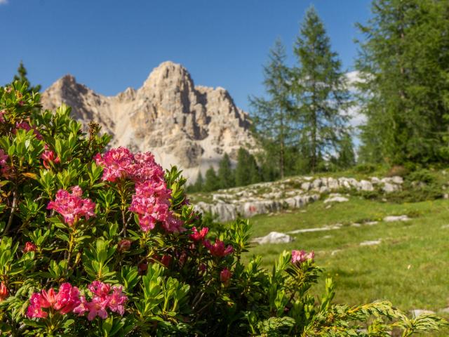 DAV Sektionsreise: Der Dolomiten-Höhenweg vom Pragser Wildsee bis zur Civetta