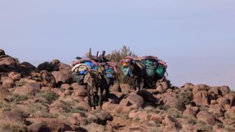 marokko-jebel saghro-PXL-20250126-143650469.RAW-01.COVER.jpg