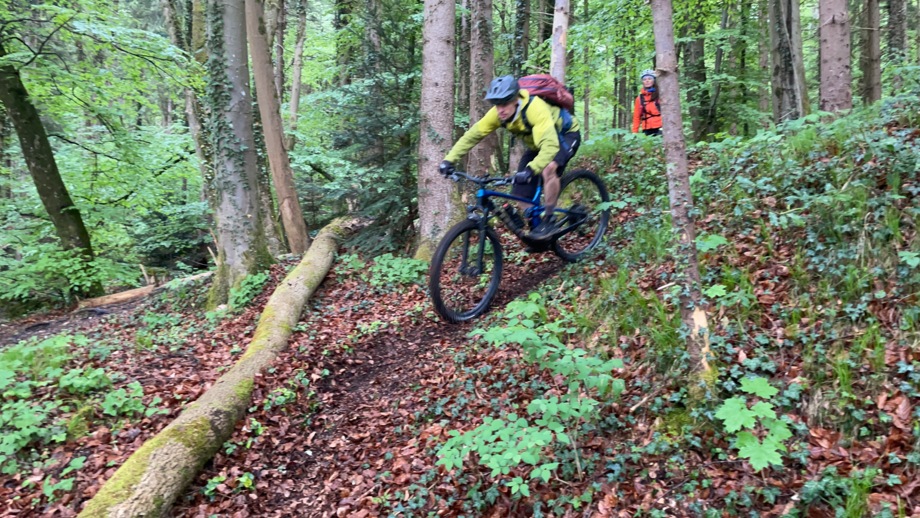 Ein Moutainbiker während der Abdfahrt auf einem Trail durch den Wald.