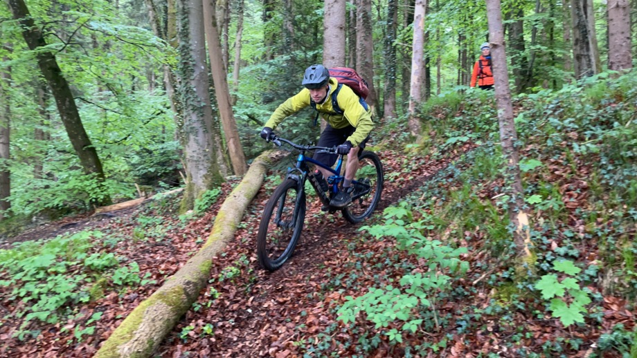 Ein Mountainbiker bei der Trailabfahrt im Wald.