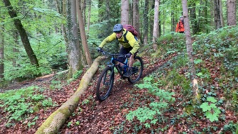 Ein Mountainbiker bei der Trailabfahrt im Wald.