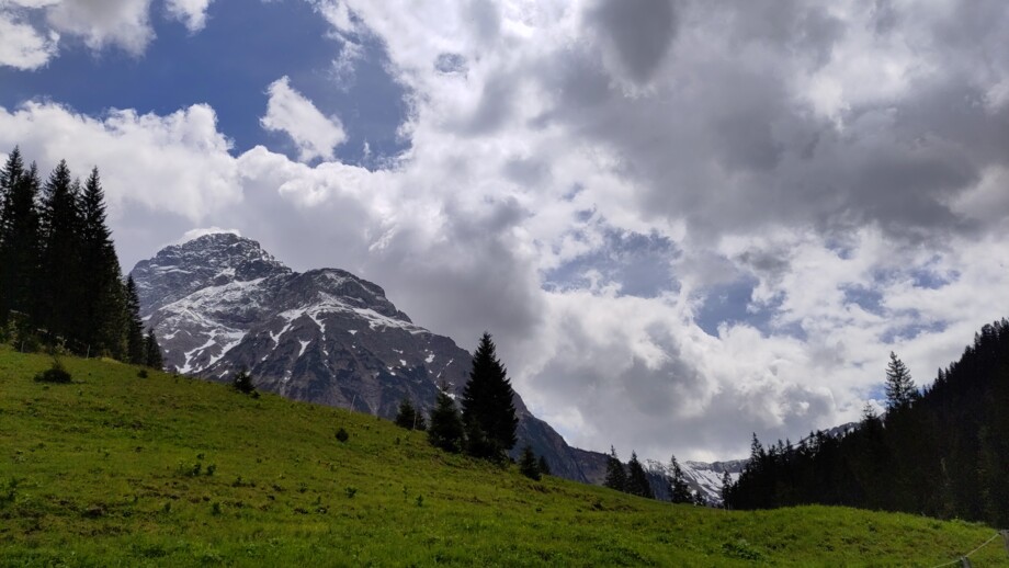 Eine grüne Bergwiese mit einzelnen Bäumen und die leicht schneebedeckten Berggipfel im Hintergrund bei bewölktem leicht sonnigen Wetter.