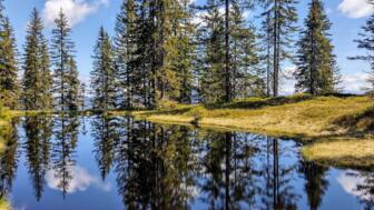 Wildschönau Alpbachal