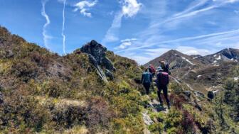 Alpbachal Wildschönau