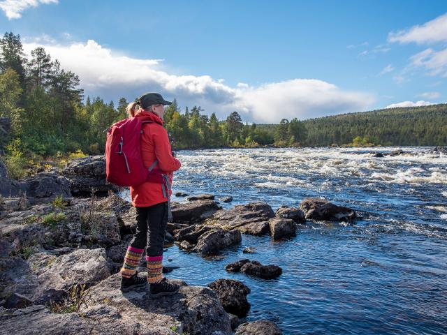 Wanderer in Finnlands Nationalparks