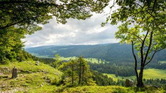 FRJUR_shutterstock_1780556135.jpg