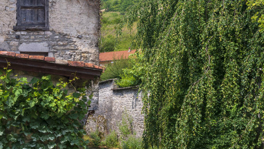 Alain_DOIRE__Bourgogne-Franche-Comte_Tourisme-BFC_0019865.jpg