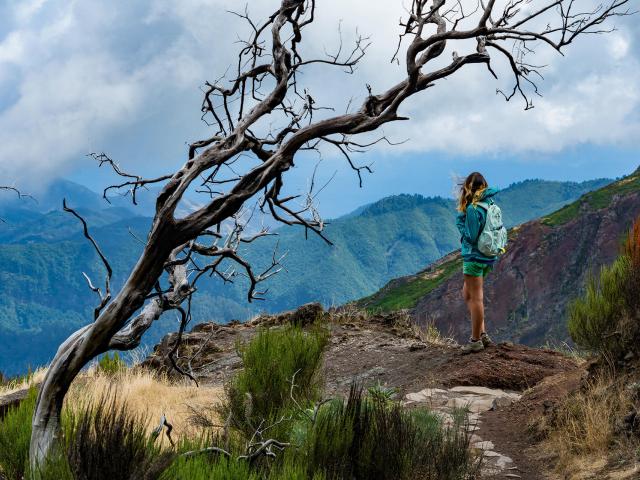 Wandern durch Madeiras Berglandschaft zwischen Pico Ruivo und Pico Arieiro