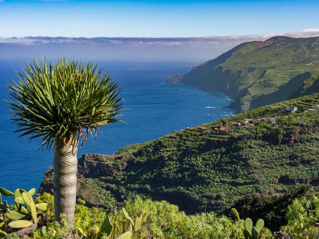 Aussicht aufs Meer von der Insel La Palma