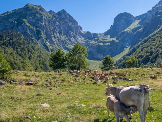 Spanischen Pyrenaeen und Nationalpark Aiguas