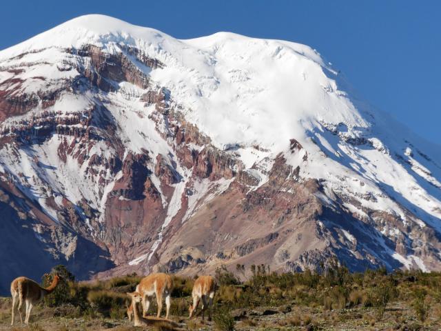 Blick auf den Chimborazo in Ecuador