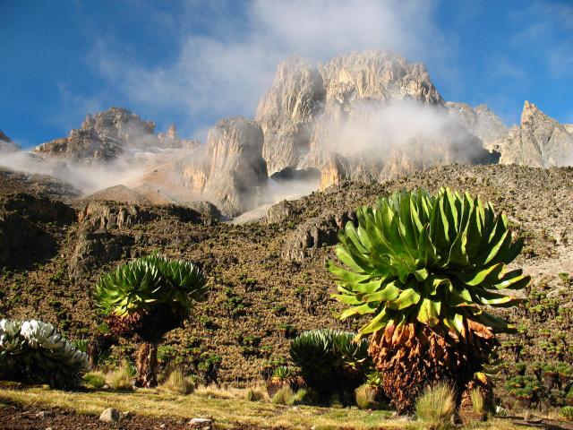 Blick zum Mount Kenia Gipfel in Kenia