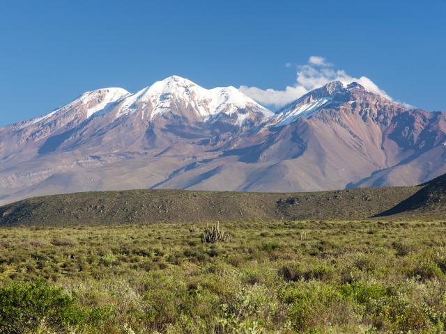 Blick auf den Chachani, 6076m in der Cordillera Urubamba