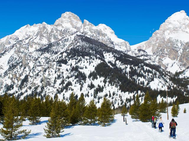 Winterlandschaft im Grand Teton National Park